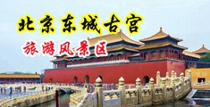 巨屌导航中国北京-东城古宫旅游风景区